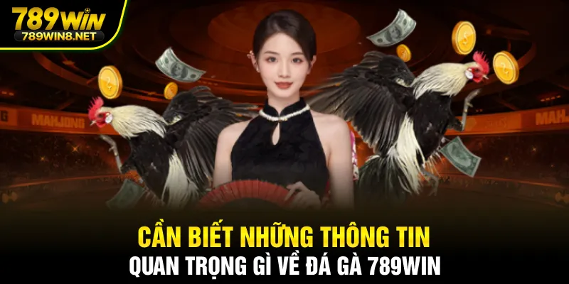 Cần biết những thông tin quan trọng gì về đá gà 789WIN