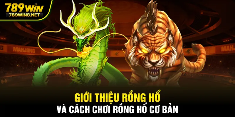 Giới thiệu rồng hổ và cách chơi rồng hổ cơ bản 