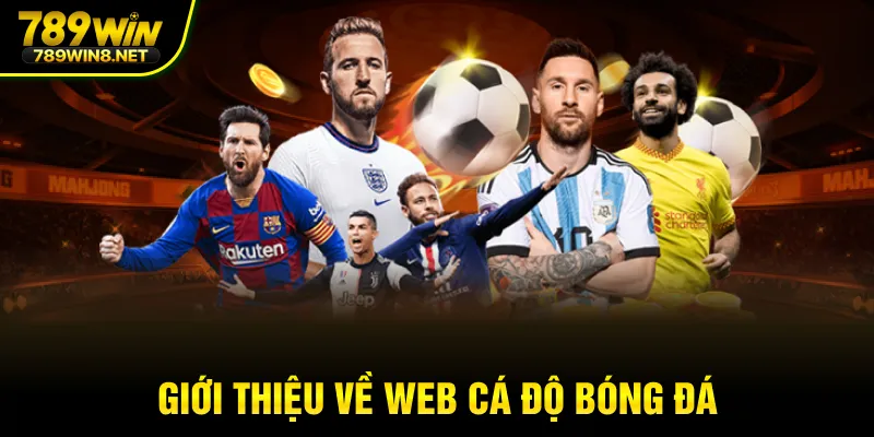 Giới thiệu về web cá độ bóng đá