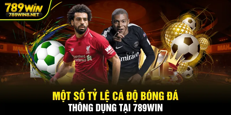 Một số tỷ lệ cá độ bóng đá thông dụng tại 789win