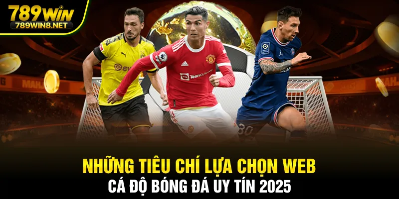 Web cá độ bóng đá