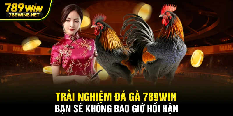 Trải nghiệm đá gà 789WIN bạn sẽ không bao giờ hối hận
