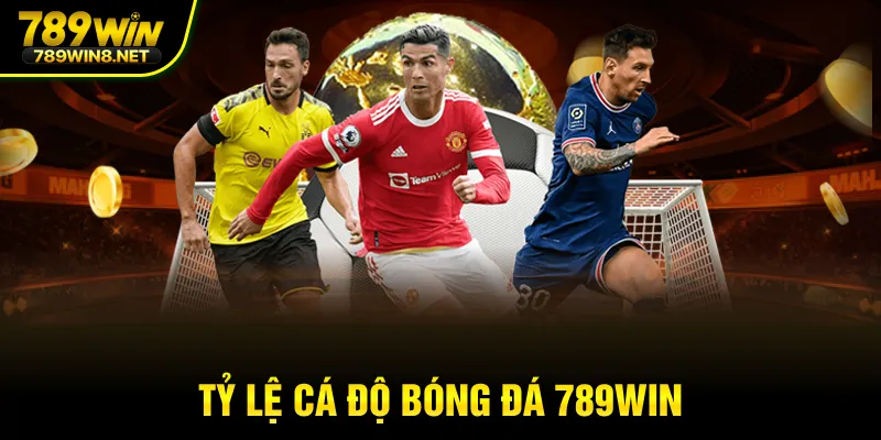 Tỷ lệ cá độ bóng đá 789win 